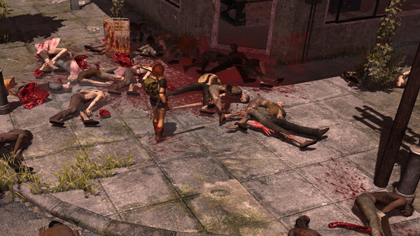 How to Survive 2 screenshot 12