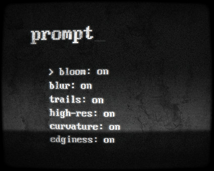 Prompt screenshot 9