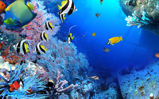 DigiFish Aqua Real 2 screenshot 5