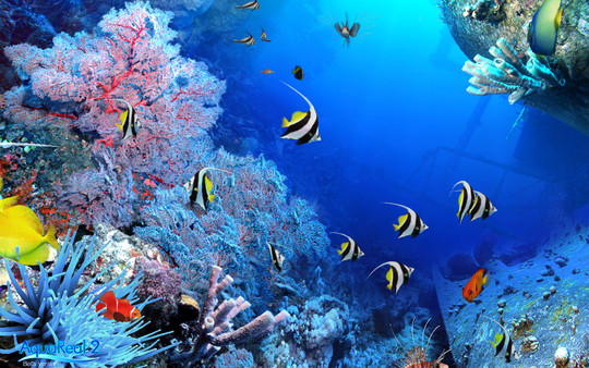DigiFish Aqua Real 2 screenshot 2
