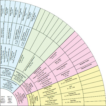 Family Tree Heritage Platinum 9 screenshot 2