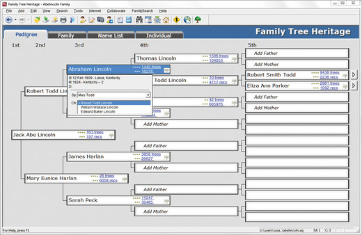 Family Tree Heritage Platinum 9 screenshot 4