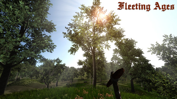 Fleeting Ages screenshot 9
