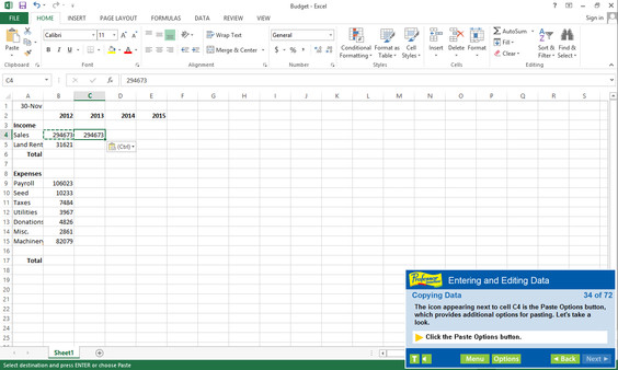 Professor Teaches Excel 2013 & 365 screenshot 3