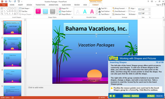 Professor Teaches PowerPoint 2013 & 365 screenshot 3