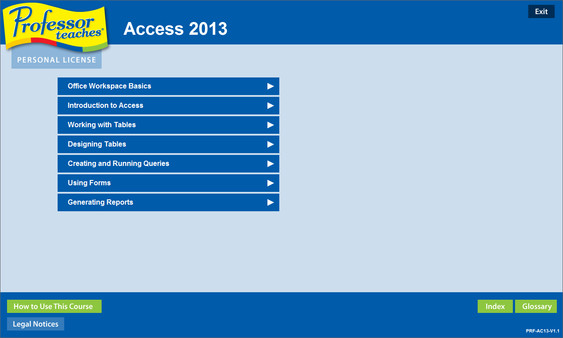 Professor Teaches Access 2013 & 365 screenshot 1