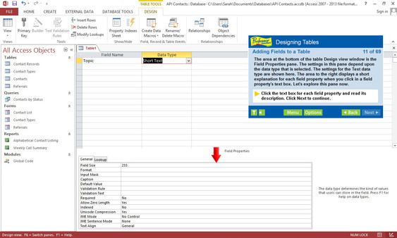 Professor Teaches Access 2013 & 365 screenshot 5