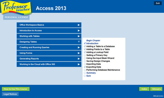Professor Teaches Access 2013 & 365 screenshot 3