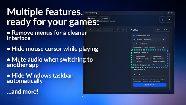 Borderless Gaming screenshot 2