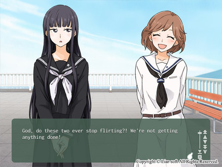 Kindred Spirits on the Roof screenshot 11