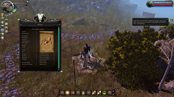 Legends of Dawn Reborn screenshot 7