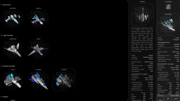 Endless Sky screenshot 3