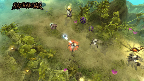 Sacraboar screenshot 9