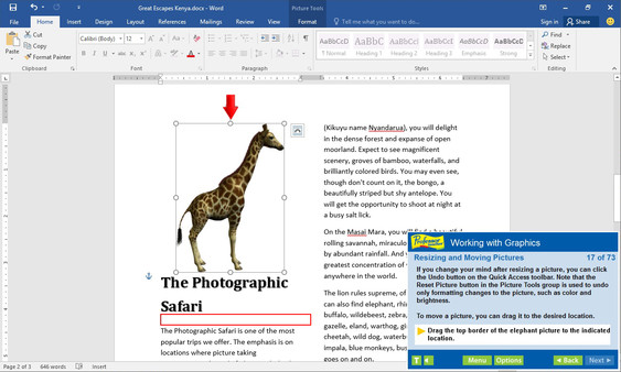 Professor Teaches Word 2016 screenshot 4