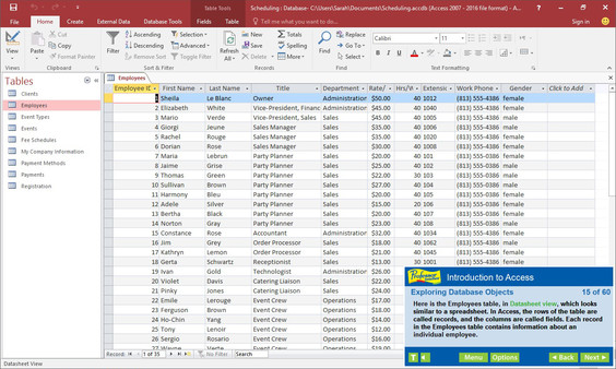 Professor Teaches Access 2016 screenshot 1