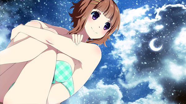Sakura Beach 2 screenshot 6