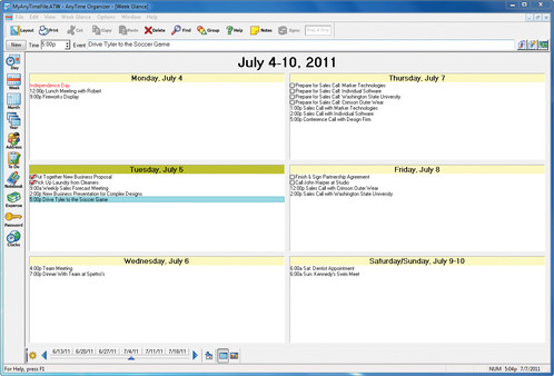 AnyTime Organizer Standard 15 screenshot 3