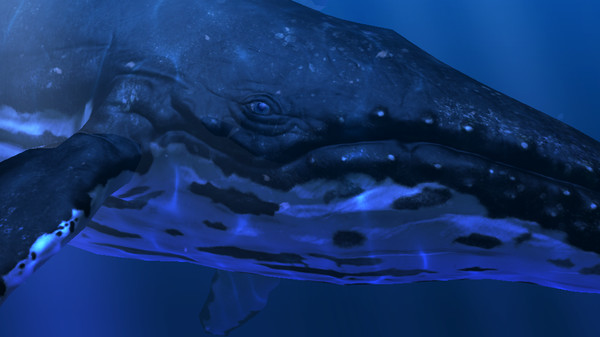 Ocean Rift screenshot 3