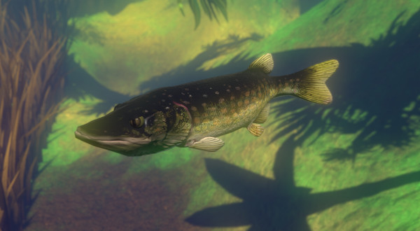 Feed and Grow: Fish screenshot 10