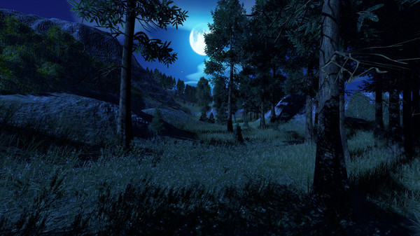 Medieval Playground screenshot 9