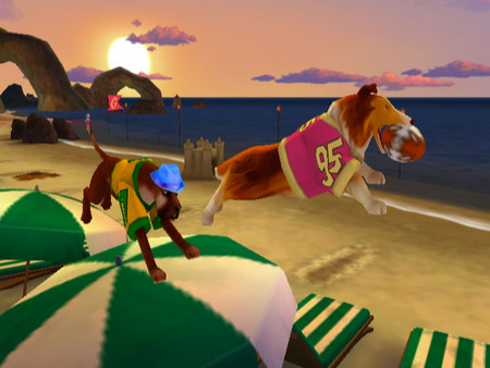 Jerry Rice & Nitus' Dog Football screenshot 10