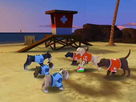 Jerry Rice & Nitus' Dog Football screenshot 5