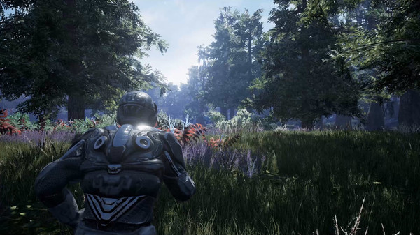 Fragmented screenshot 1