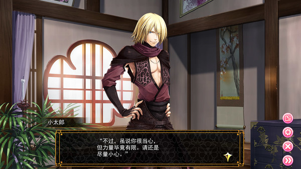 Destiny's Princess: A War Story, A Love Story screenshot 8