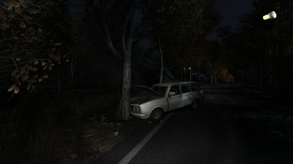 The Secret of Pineview Forest screenshot 3