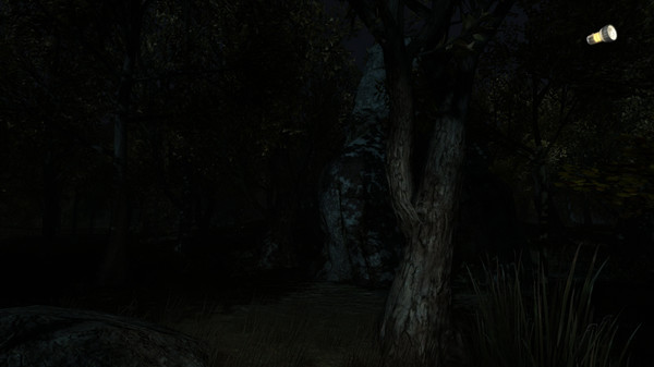 The Secret of Pineview Forest screenshot 7