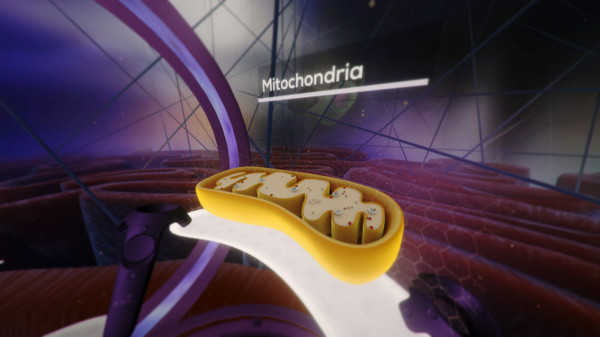 The Body VR: Journey Inside a Cell screenshot 7