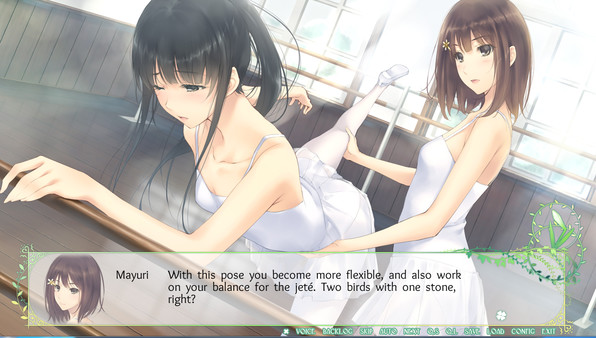 Flowers -Le volume sur printemps- screenshot 2