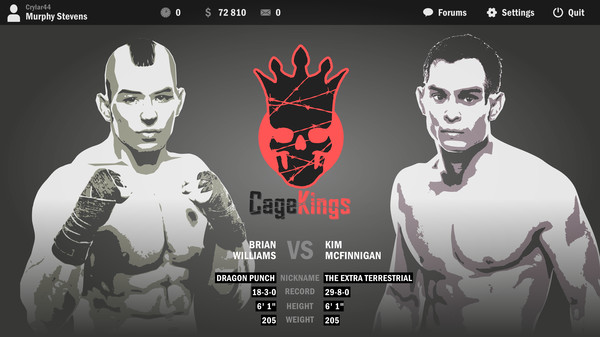 Ultimate Fight Manager 2016 screenshot 3