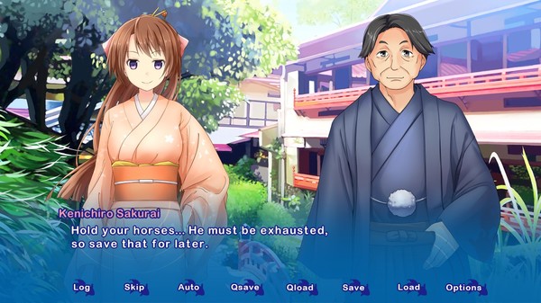 Kyoto Colorful Days screenshot 3