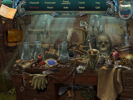 Echoes of the Past: The Revenge of the Witch Collector's Edition screenshot 4