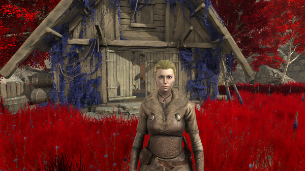 Champions of Odin screenshot 2
