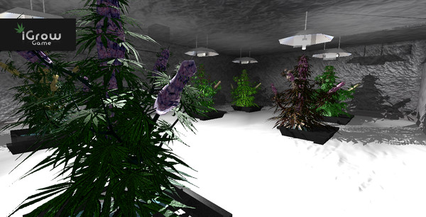 iGrow Game screenshot 11