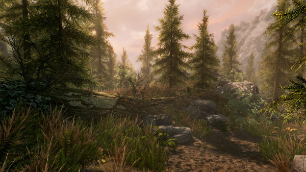 The Elder Scrolls V: Skyrim Special Edition screenshot 7