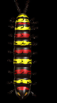 Ant Queen screenshot 6