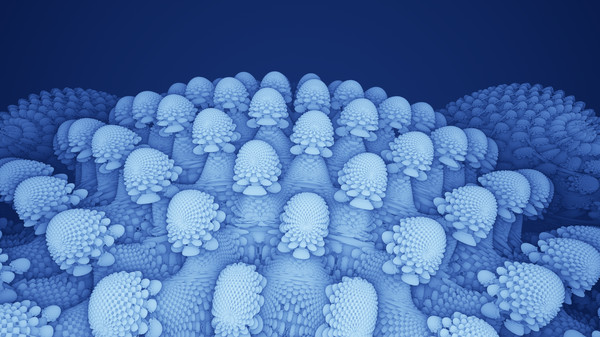 Emergence ᵠ screenshot 1