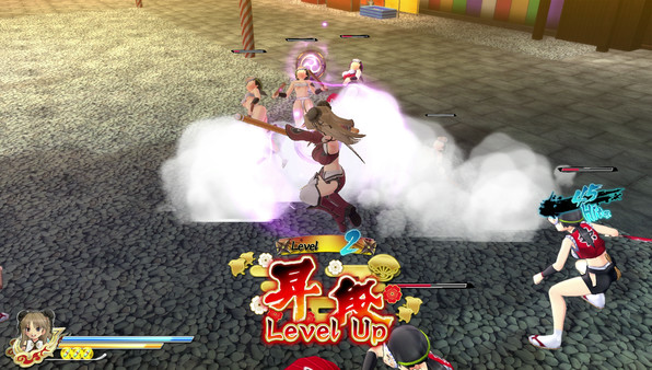 SENRAN KAGURA ESTIVAL VERSUS screenshot 7