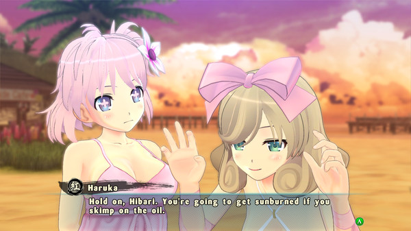 SENRAN KAGURA ESTIVAL VERSUS screenshot 8