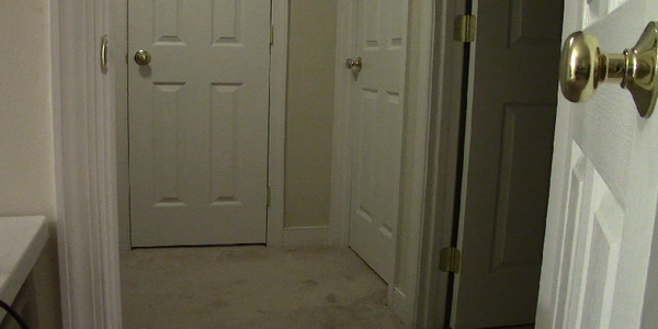 One Night Two Crazies screenshot 3