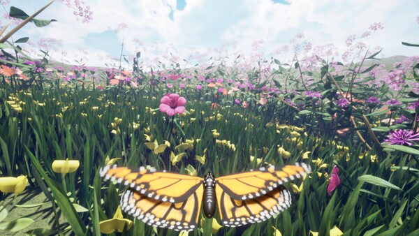Nature & Life - Drunk On Nectar screenshot 6