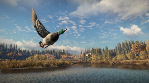 theHunter: Call of the Wild screenshot 4