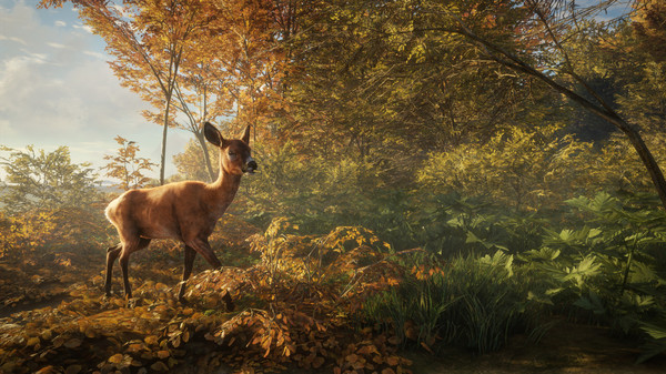 theHunter: Call of the Wild screenshot 12