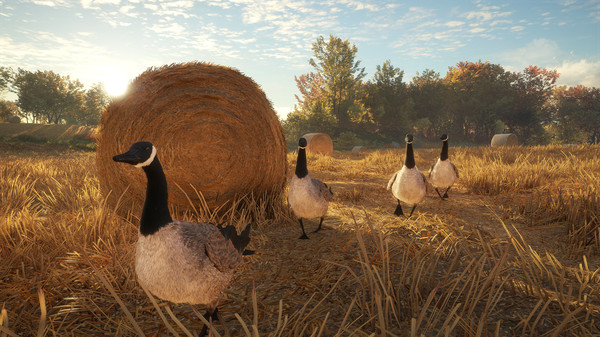 theHunter: Call of the Wild screenshot 11
