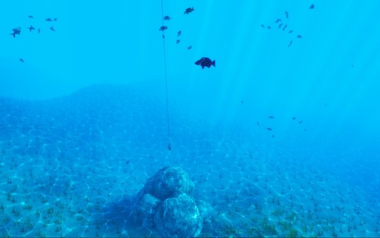 The Fishing Club 3D: Co-op Sport Angling screenshot 3