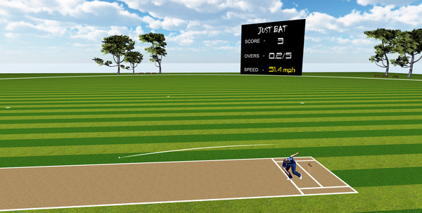 JUST BAT (VR CRICKET) screenshot 1