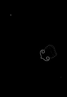 Plankton screenshot 5
